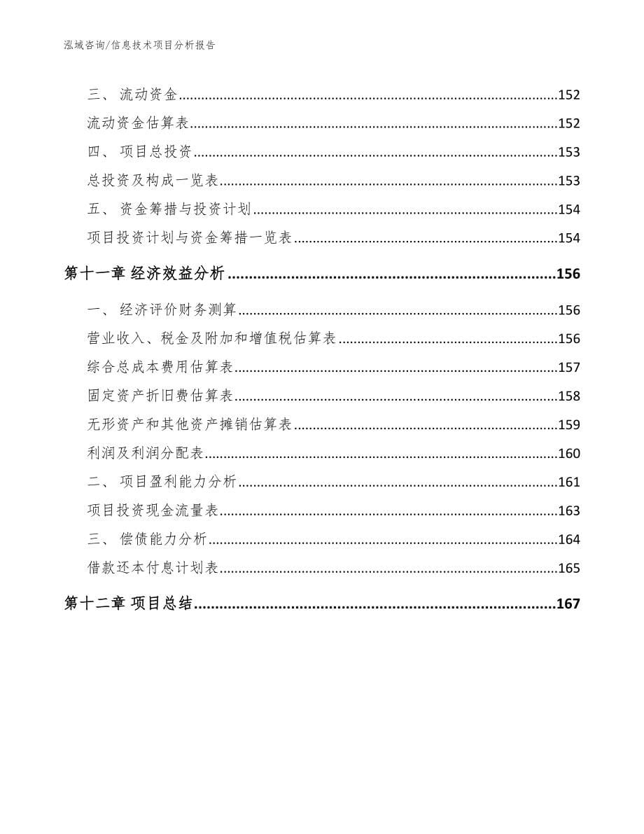 信息技术项目分析报告（模板范本）_第5页