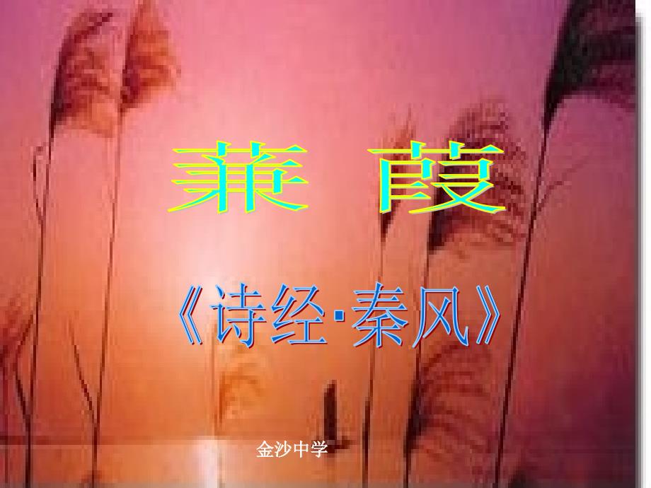 蒹葭 (2)_第1页