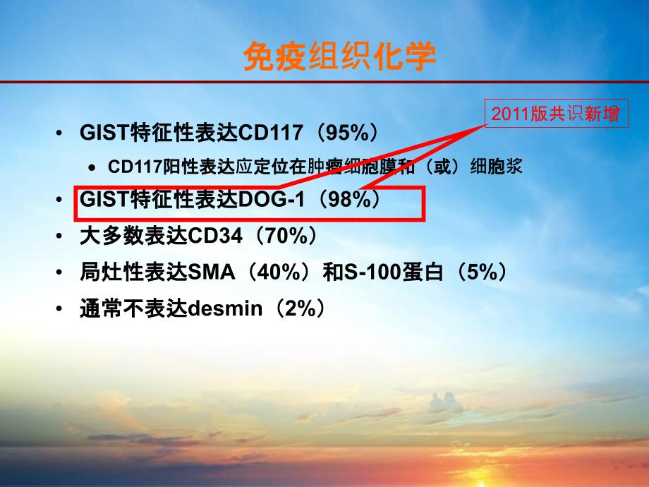 201x中国胃肠道间质瘤GIST共识更新最新_第3页