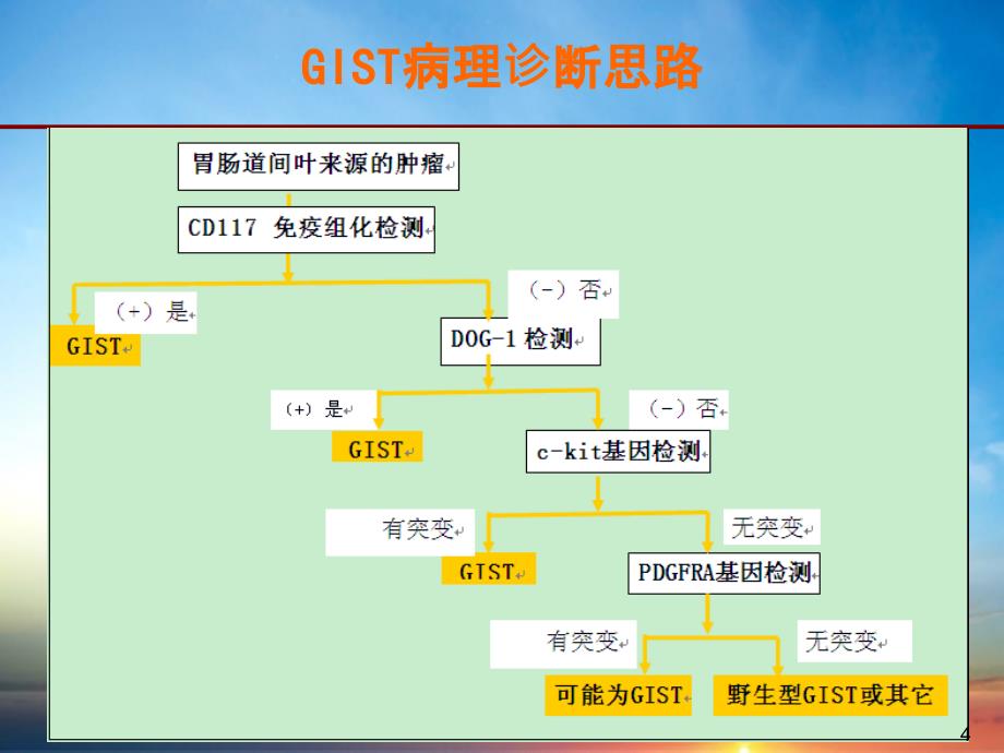 201x中国胃肠道间质瘤GIST共识更新最新_第4页