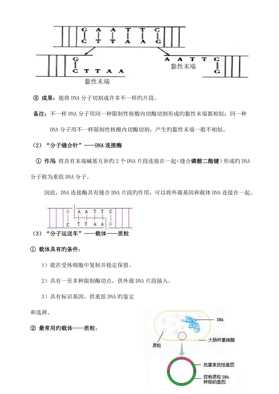 2023年高中生物选修浙科版知识点总结.doc_第2页