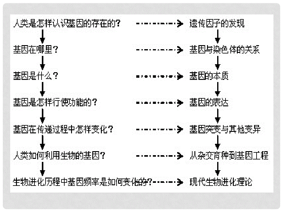 高考生物：遗传与进化_第3页