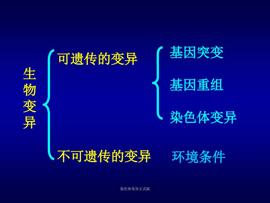 染色体变异正式版课件_第2页