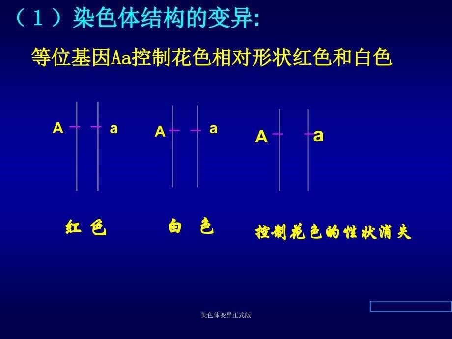 染色体变异正式版课件_第5页