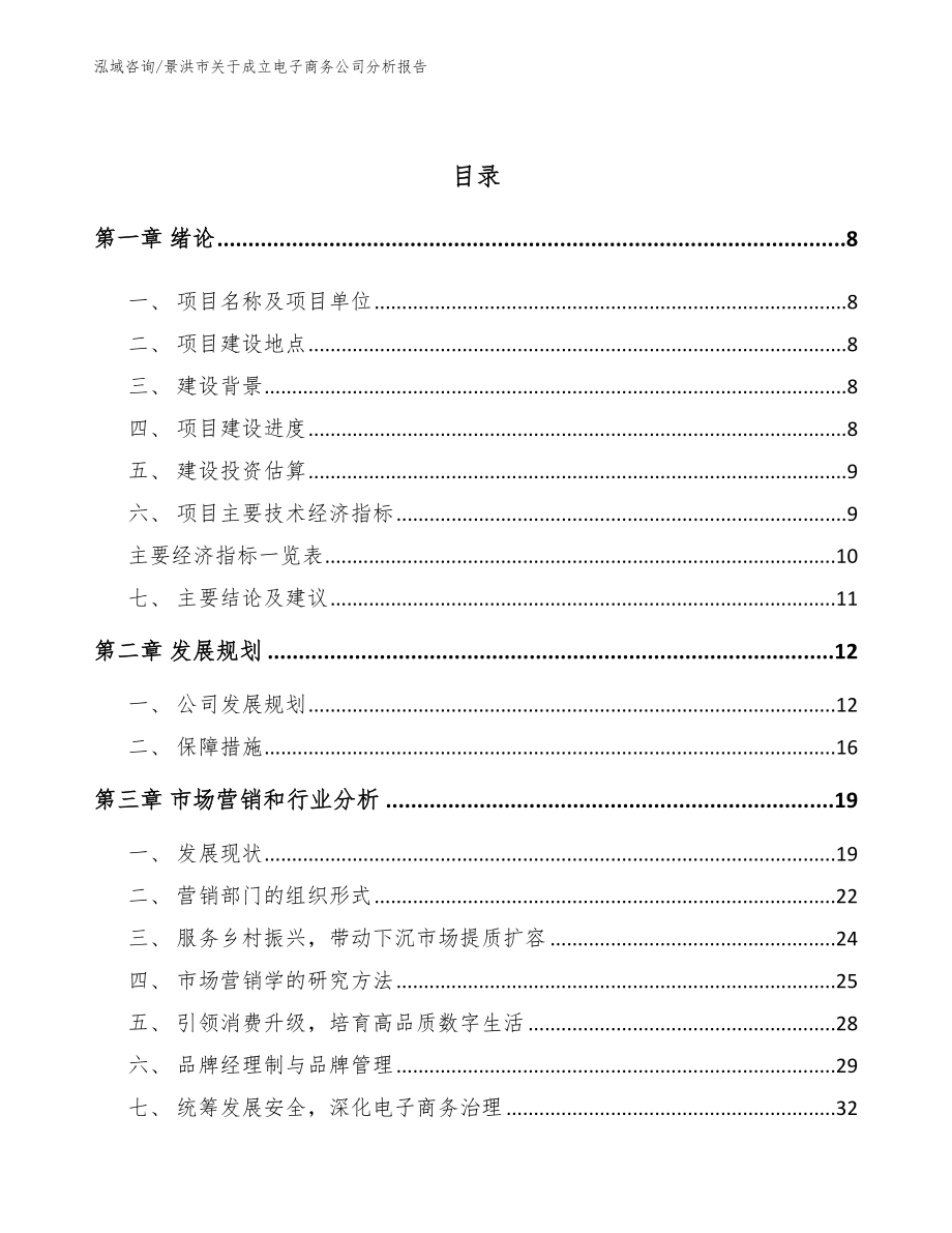 景洪市关于成立电子商务公司分析报告_范文_第3页