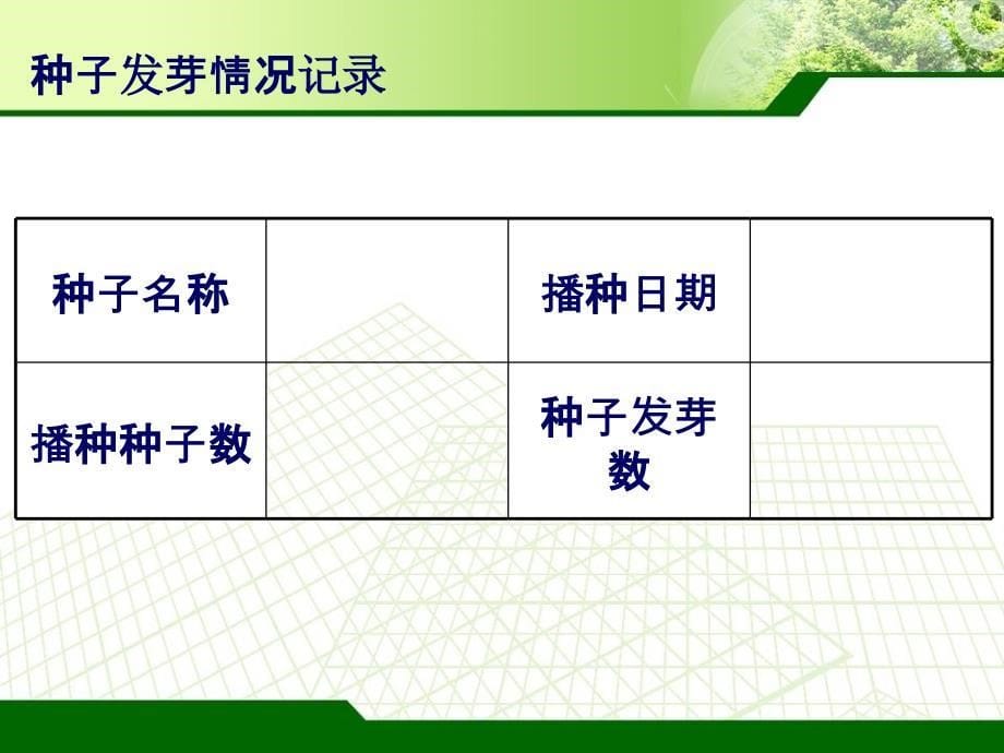 四年级科学下种茄子_第5页