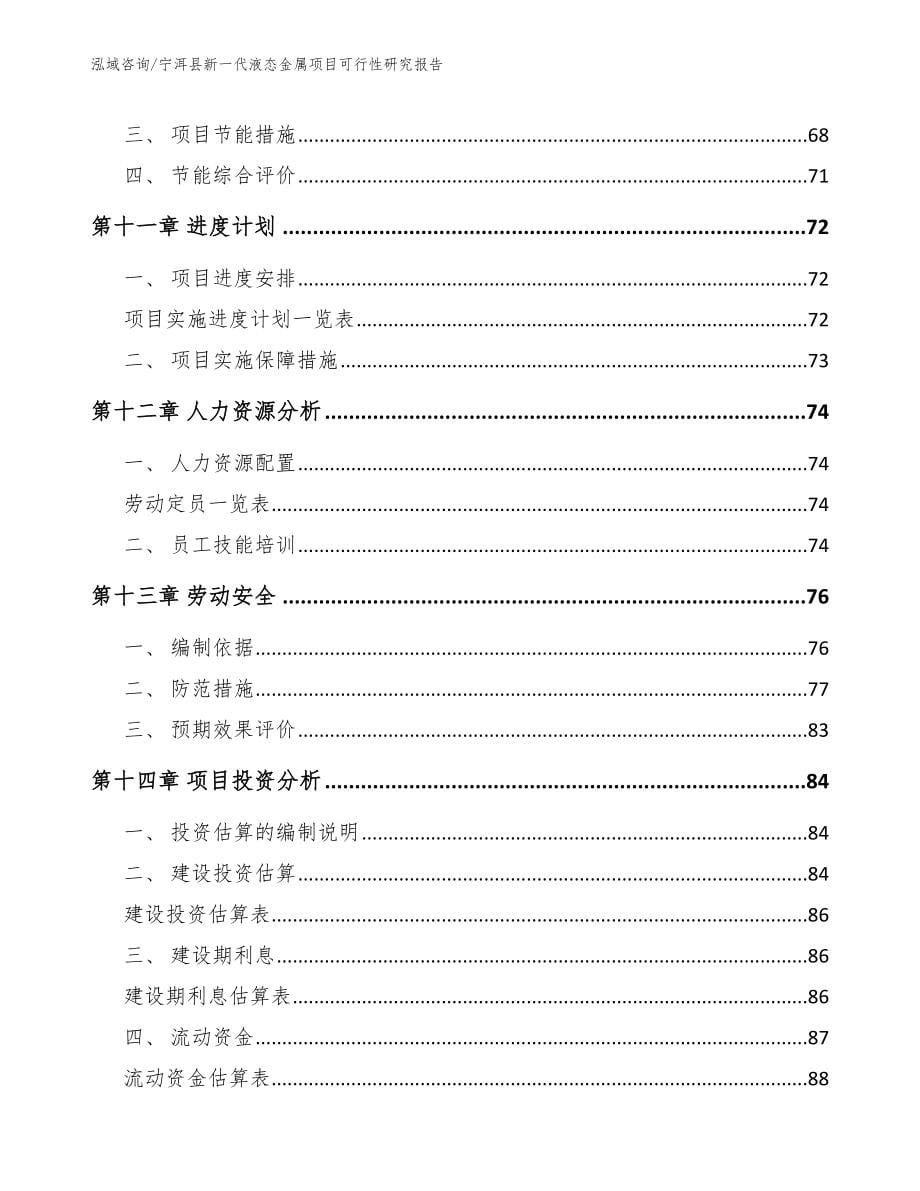 宁洱县新一代液态金属项目可行性研究报告参考范文_第5页