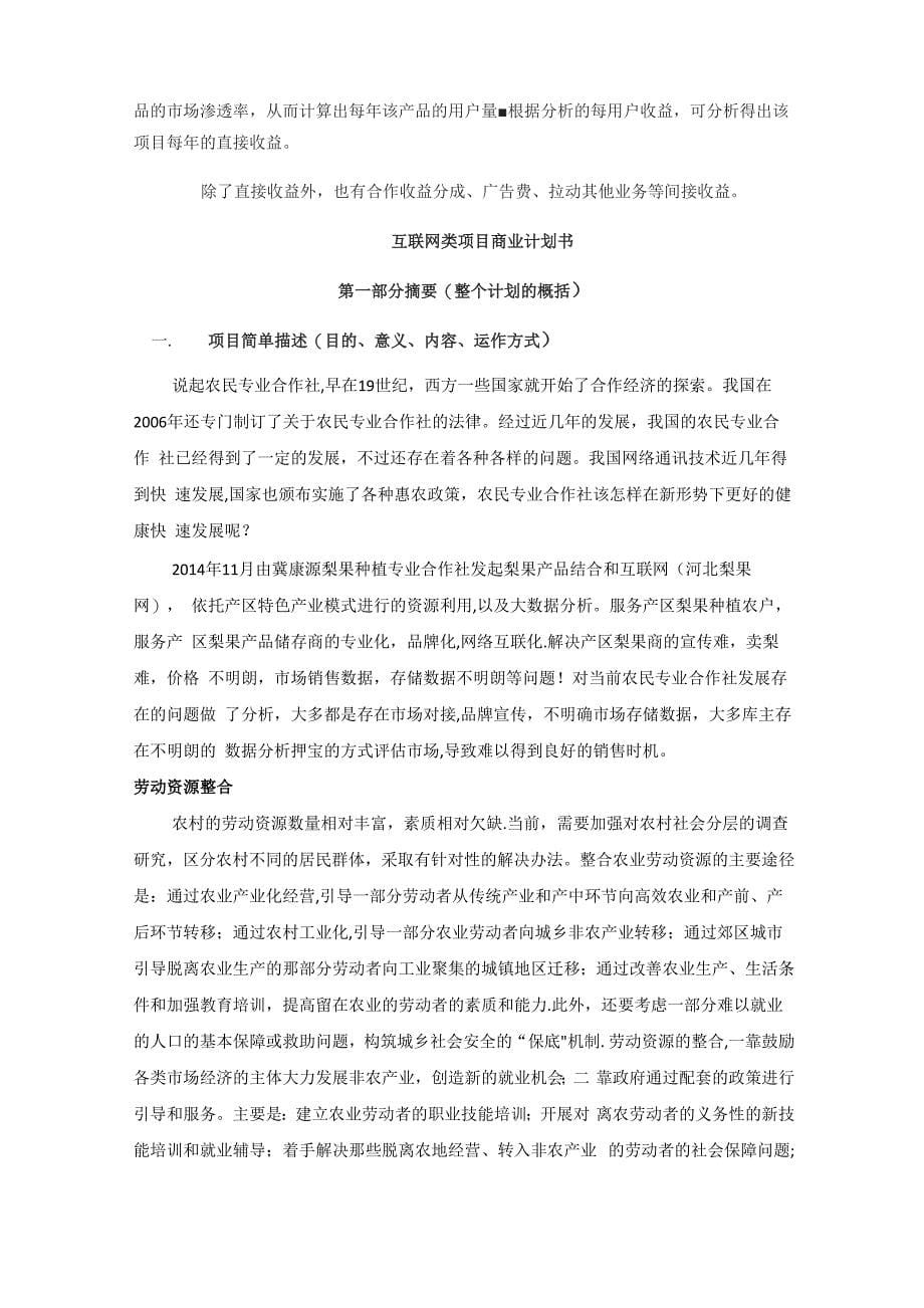 互联网类项目商业计划书_第5页