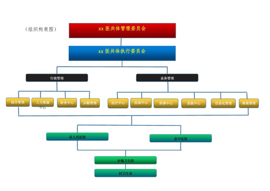 xx县医疗集团组织构架图_第1页