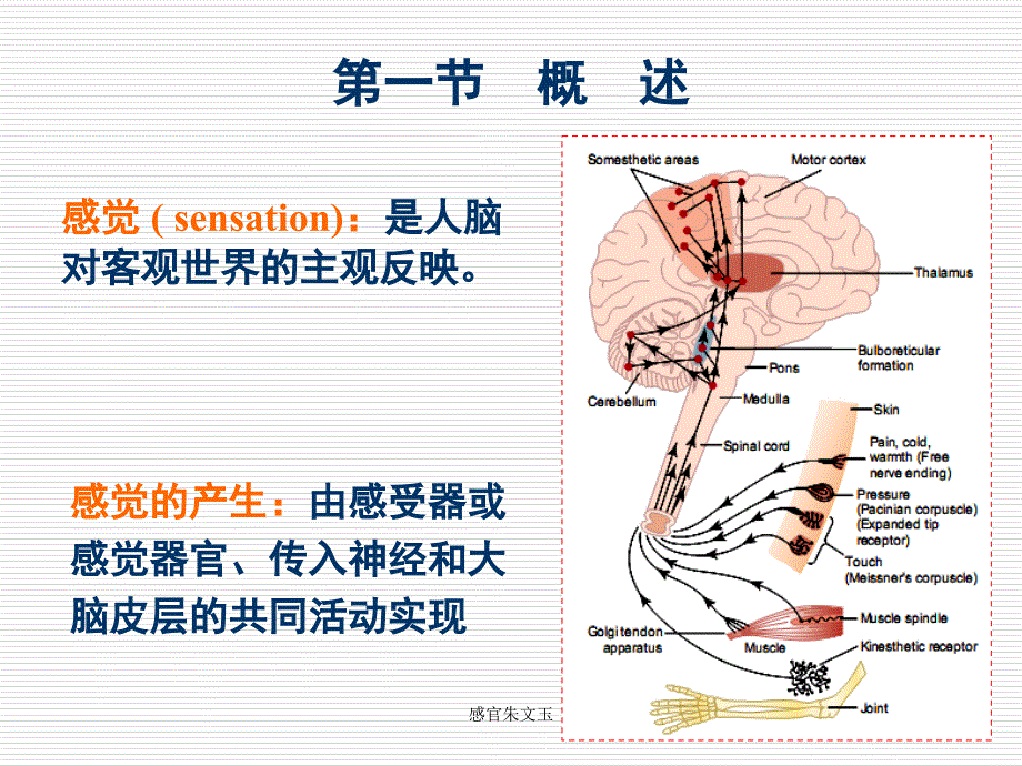 感官朱文玉课件_第2页