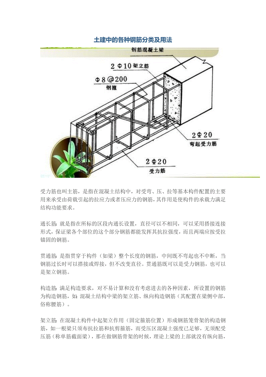 建筑结构图各种钢筋详解_第1页