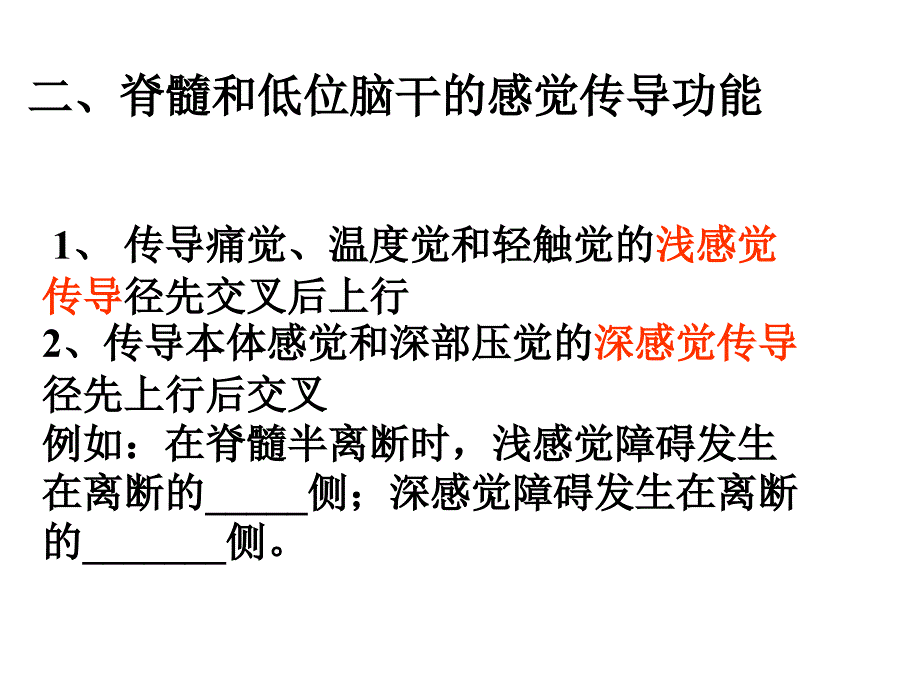 神经系统的感觉功能_第2页