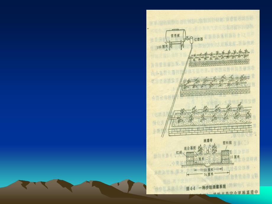 《花卉无土栽培技术》PPT课件_第4页