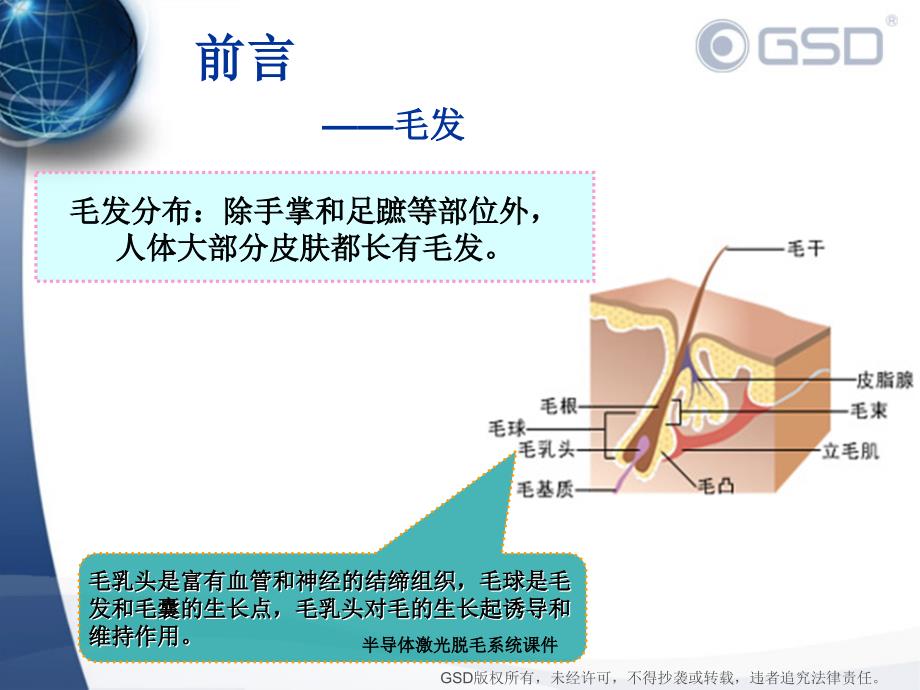 半导体激光脱毛系统课件_第3页