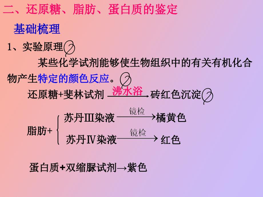 级实验一还原糖脂肪蛋白质鉴定_第4页