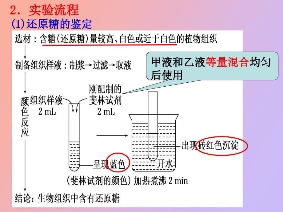 级实验一还原糖脂肪蛋白质鉴定_第5页