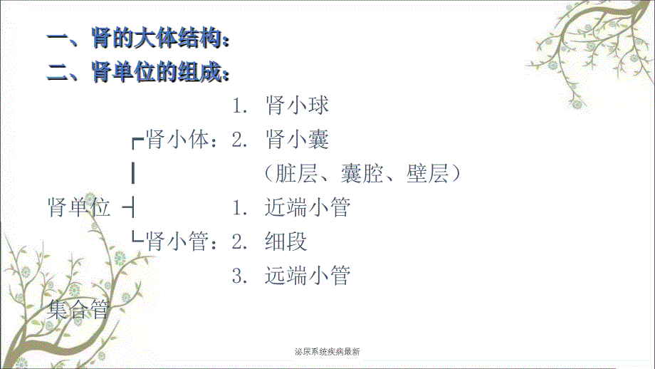 泌尿系统疾病最新课件_第2页