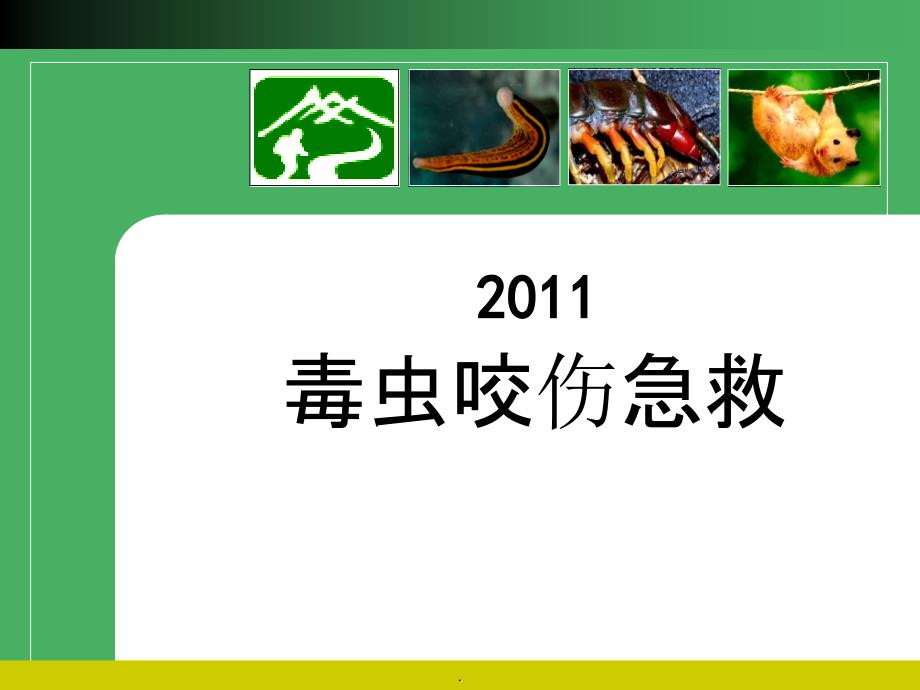 201x毒虫咬伤急救最新_第1页