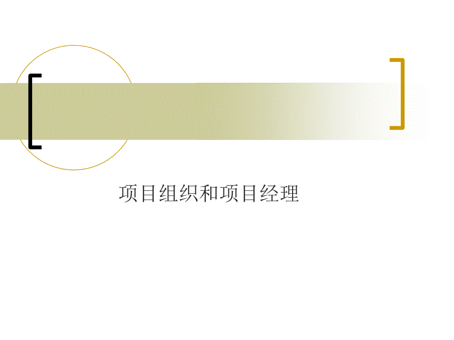 项目组织和项目经理_第1页