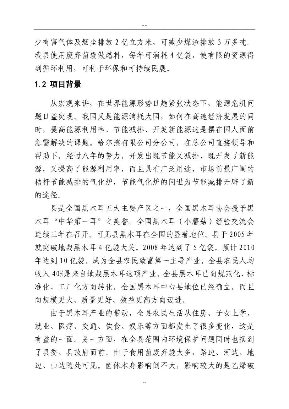 新型节能环保燃料推广应用示范基地建设项目可行性论证报告.doc_第5页