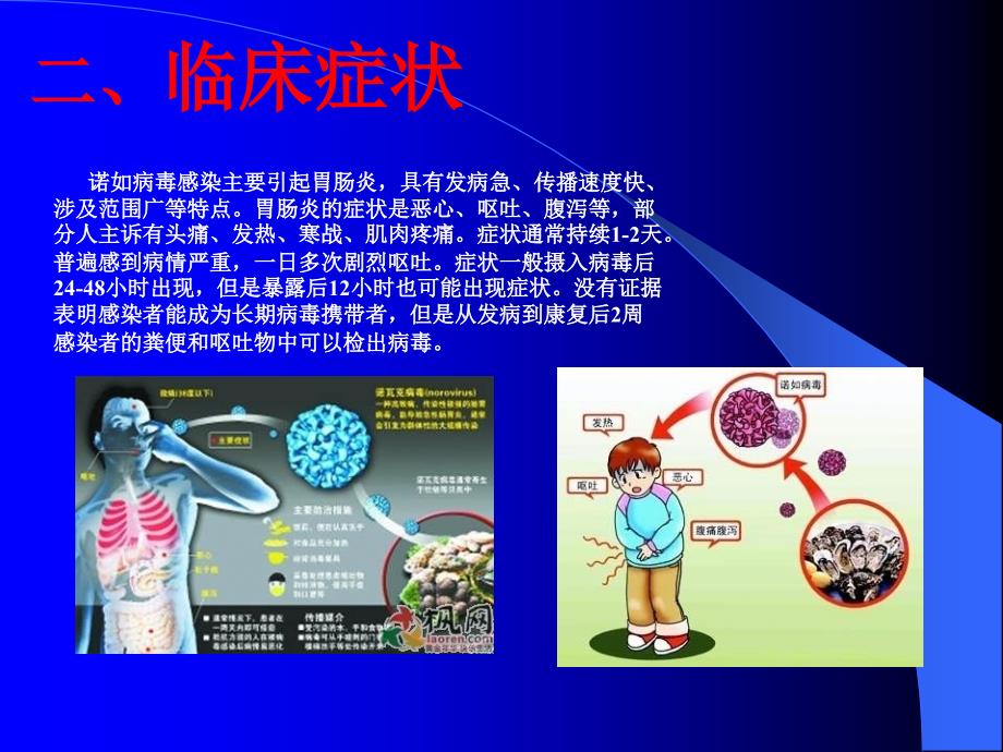 预防诺如病毒PPT课件_第4页