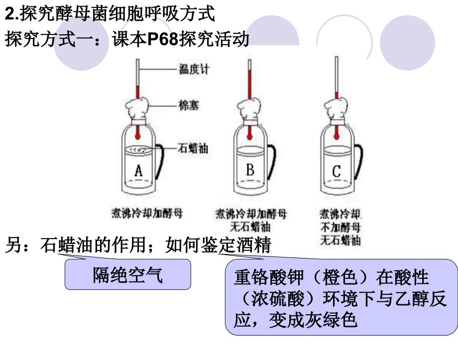 生物必修一课件呼吸作用_第3页