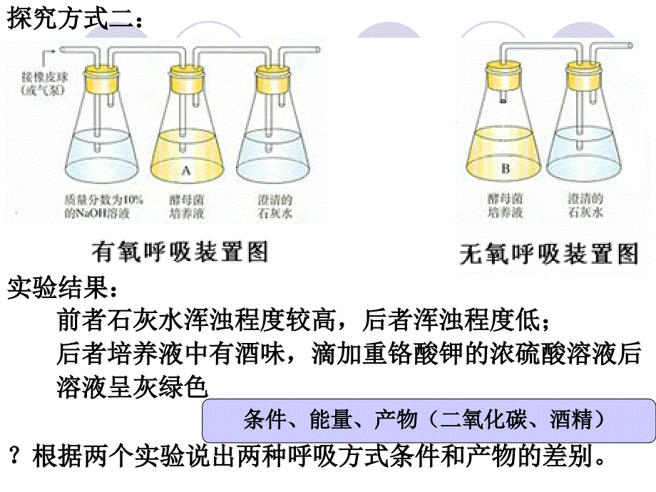 生物必修一课件呼吸作用_第4页