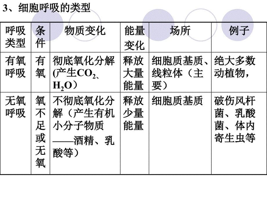 生物必修一课件呼吸作用_第5页