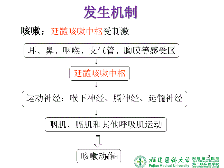 咳嗽与咳痰课件_第3页