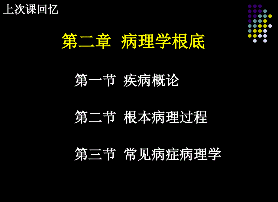 32基础兽医病理学基础II_第1页