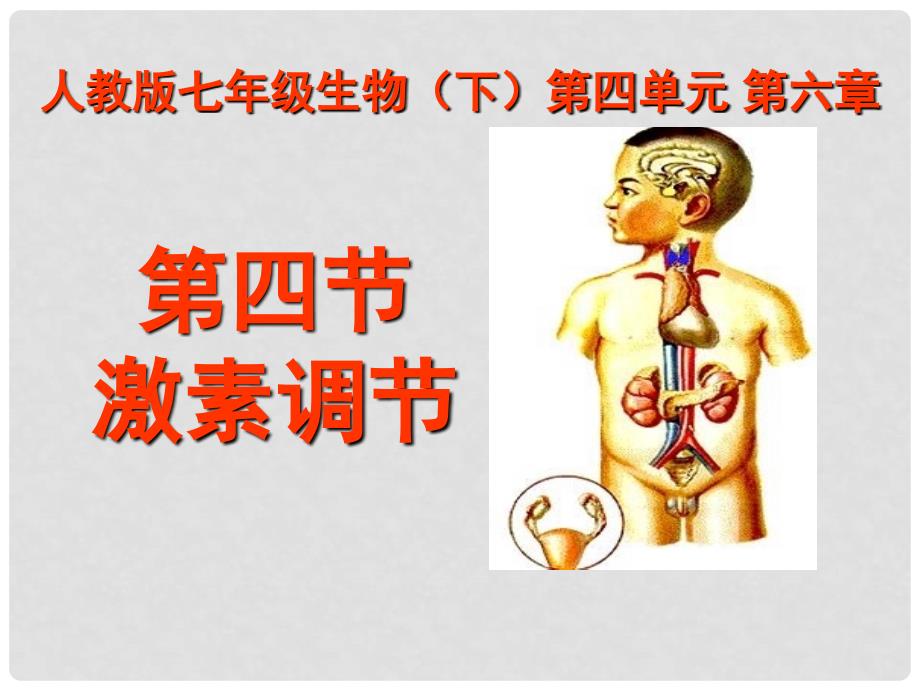 湖北省武汉市为明实验学校七年级生物下册 第六章《第四节 激素调节》课件 人教新课标版_第1页