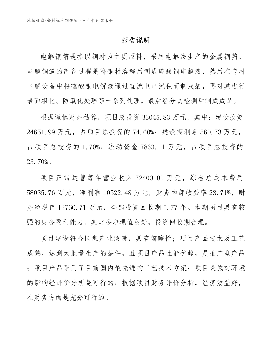 亳州标准铜箔项目可行性研究报告模板范文_第2页