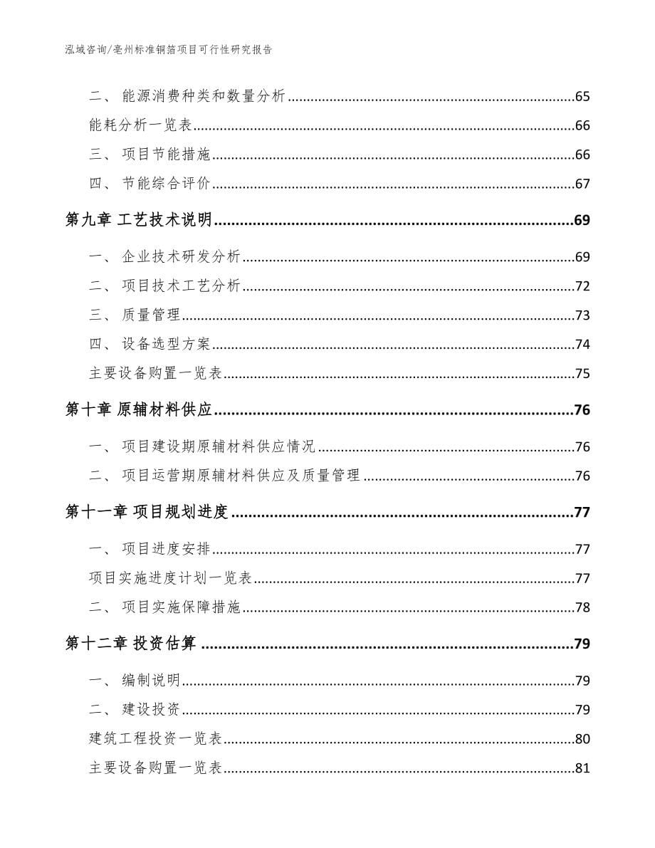 亳州标准铜箔项目可行性研究报告模板范文_第5页