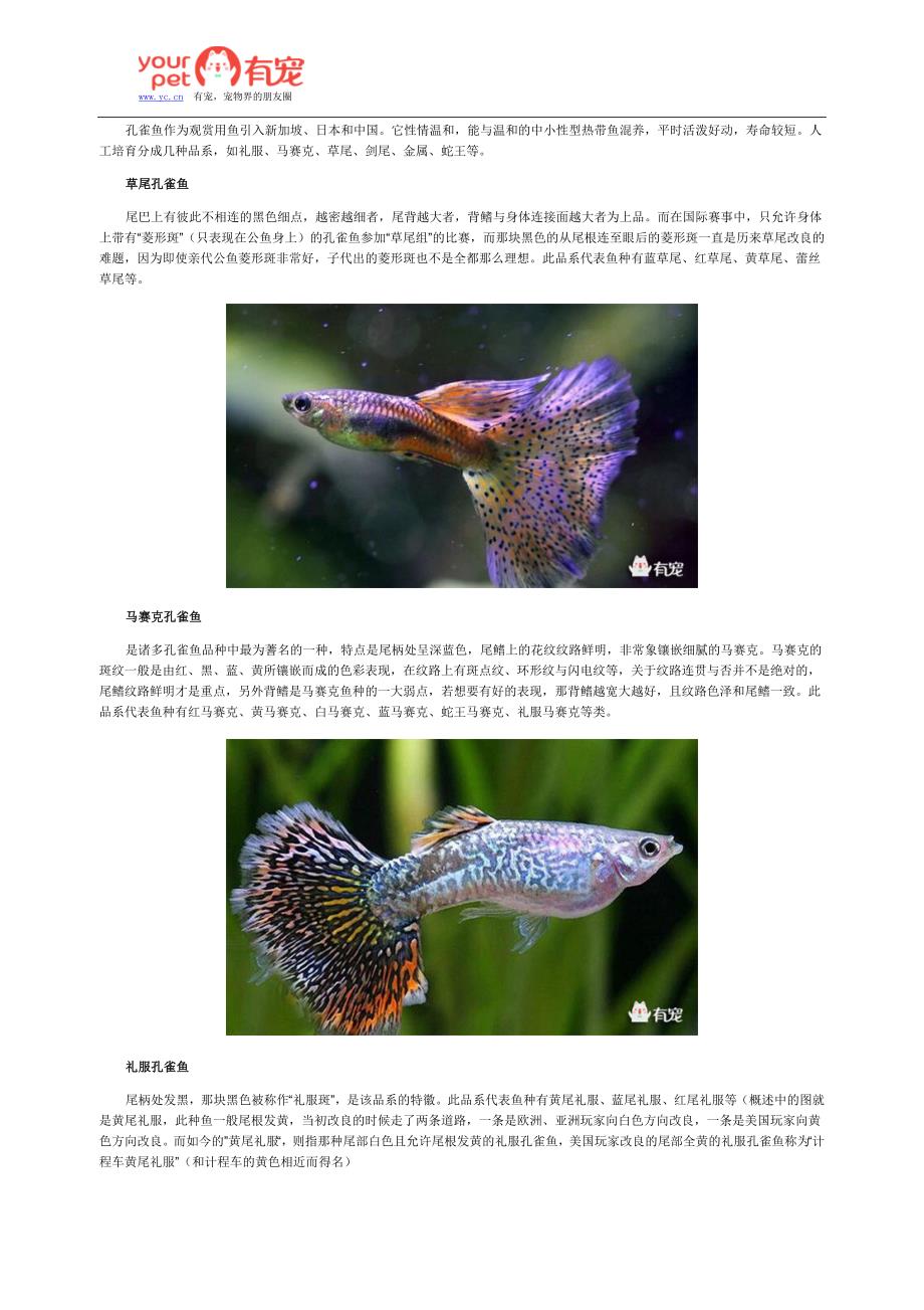 孔雀鱼常见的十二个品种(上).doc_第1页