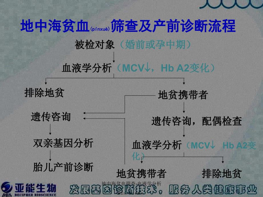 地中海贫血筛查血液学分析课件_第3页