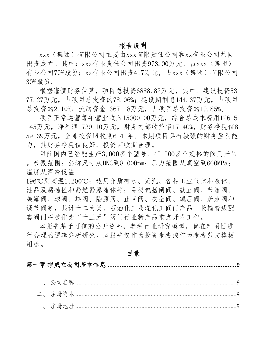 某 某关于成立阀门公司报告(DOC 87页)_第2页