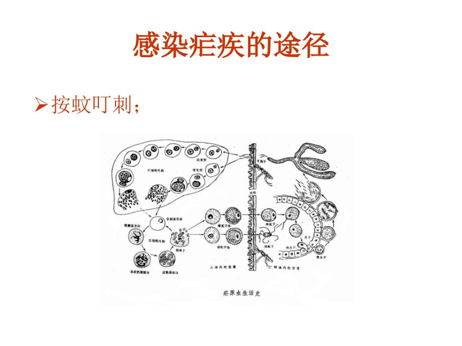 临床症状和诊断及鉴别诊断_第3页