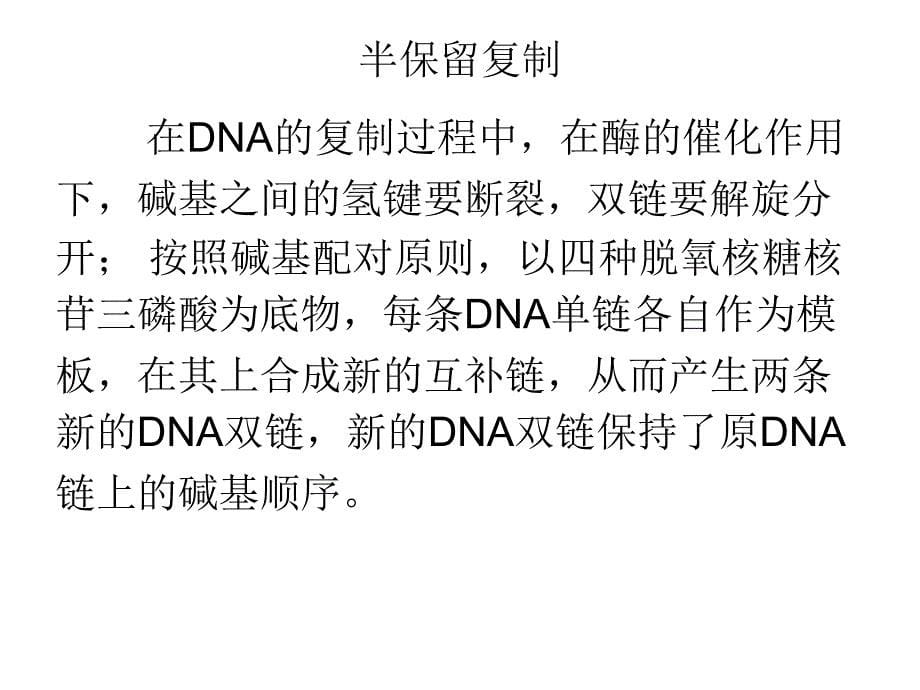 《生物化学教学ppt课件》第十一章-核酸的生物合成--演示文稿x_第5页