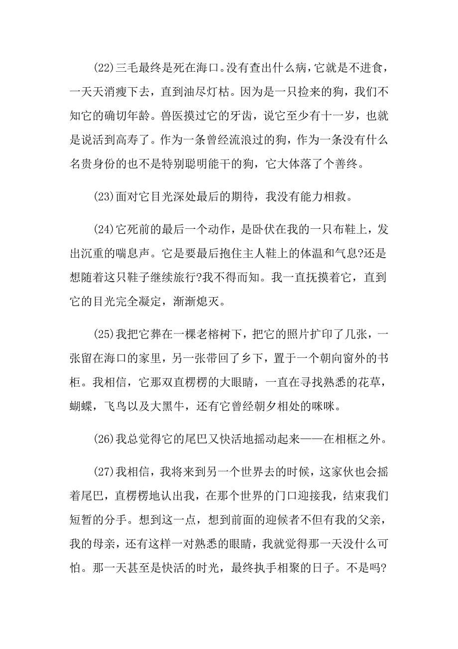 三毛的来去现代文阅读答案_第5页