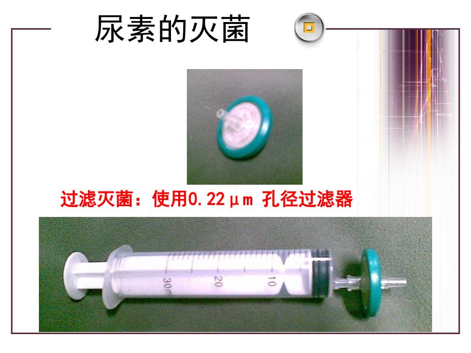 微生物的利用微生物的选择培养和计数课件_第3页