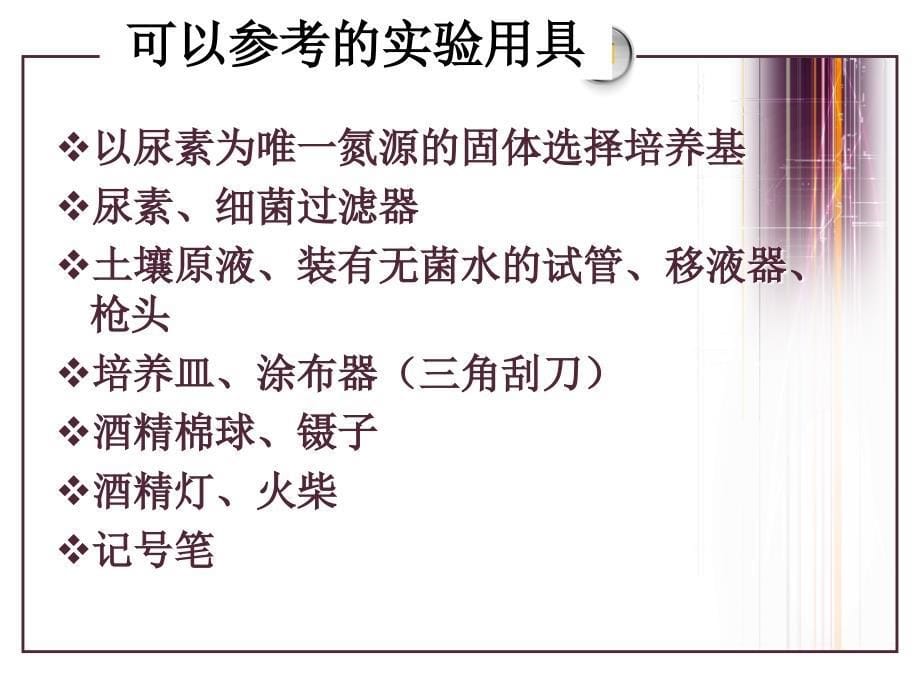 微生物的利用微生物的选择培养和计数课件_第5页