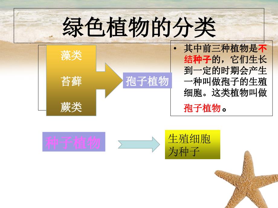 七年级生物上册3.1.1藻类苔藓和蕨类植物课件新版新人教版_第3页