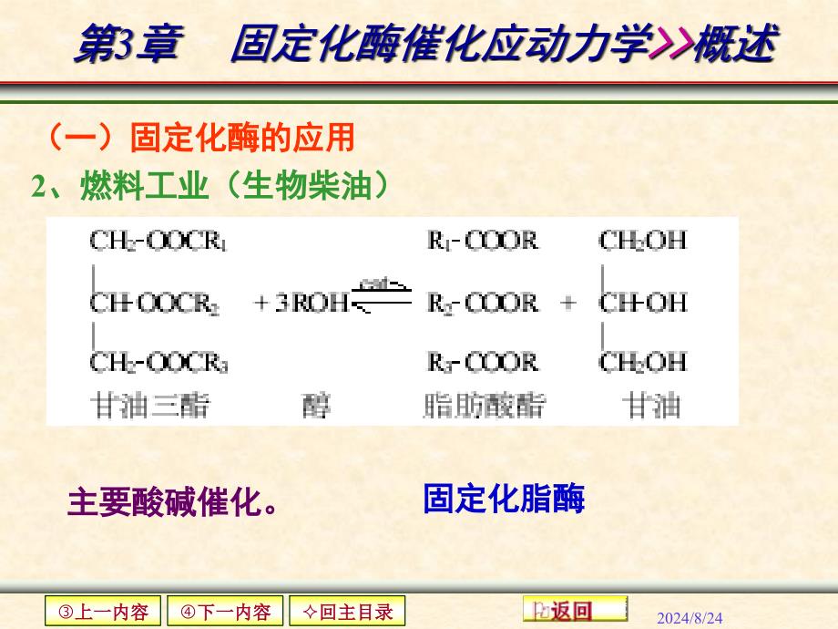 第三章-固定化酶催化反应动力学课件_第3页