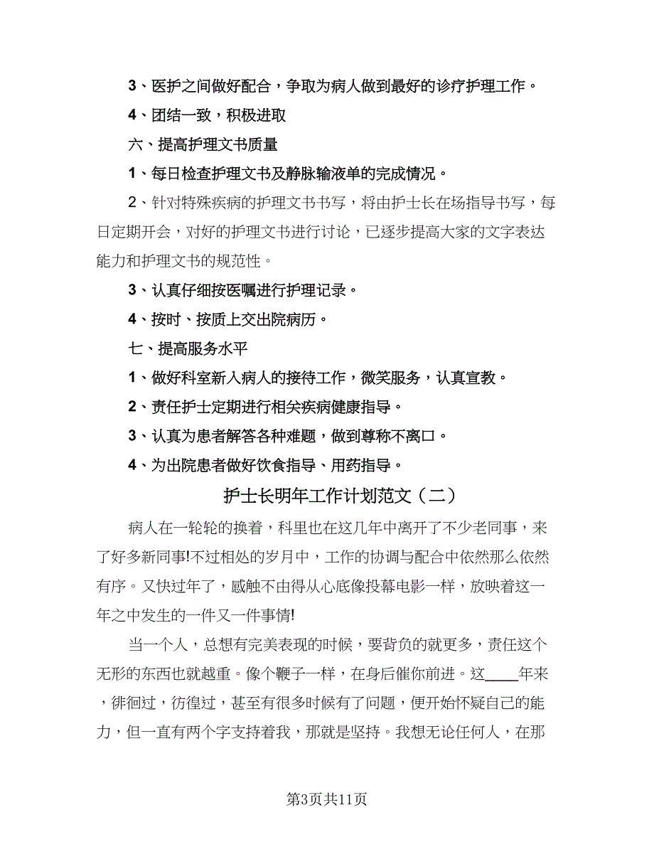 护士长明年工作计划范文（四篇）.doc_第3页