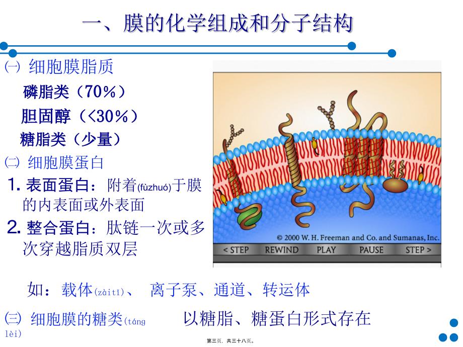 细胞基本功能60part1简版课件_第3页