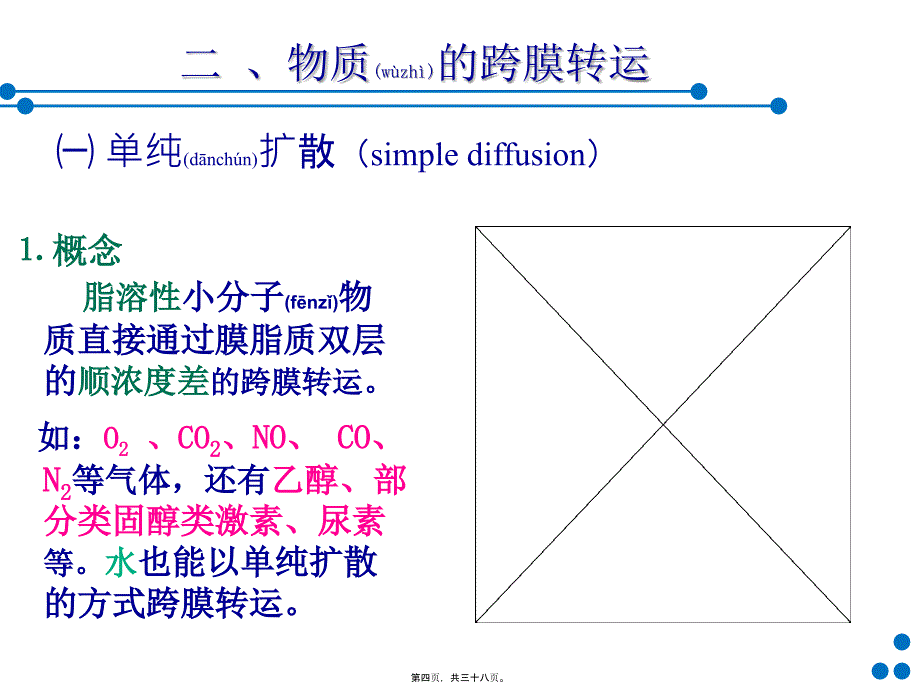 细胞基本功能60part1简版课件_第4页