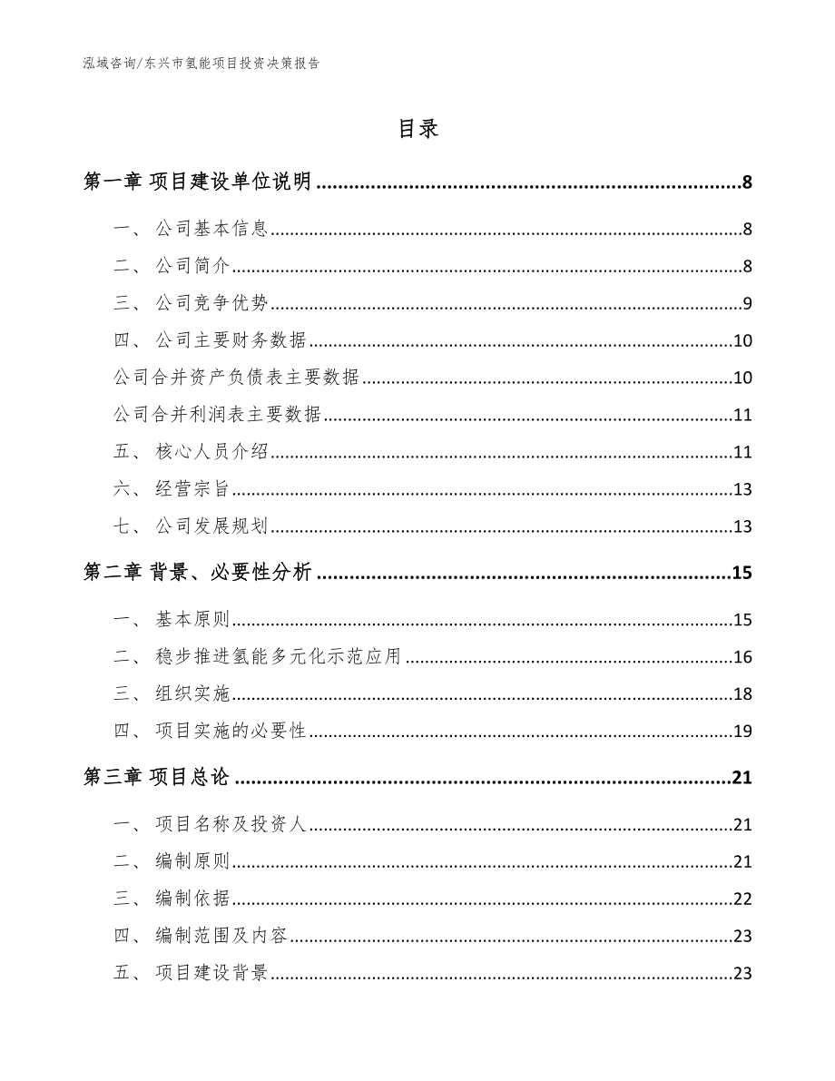 东兴市氢能项目投资决策报告_范文_第1页