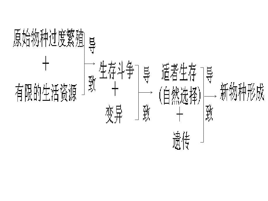 《生物的进化复习》PPT课件.ppt_第5页