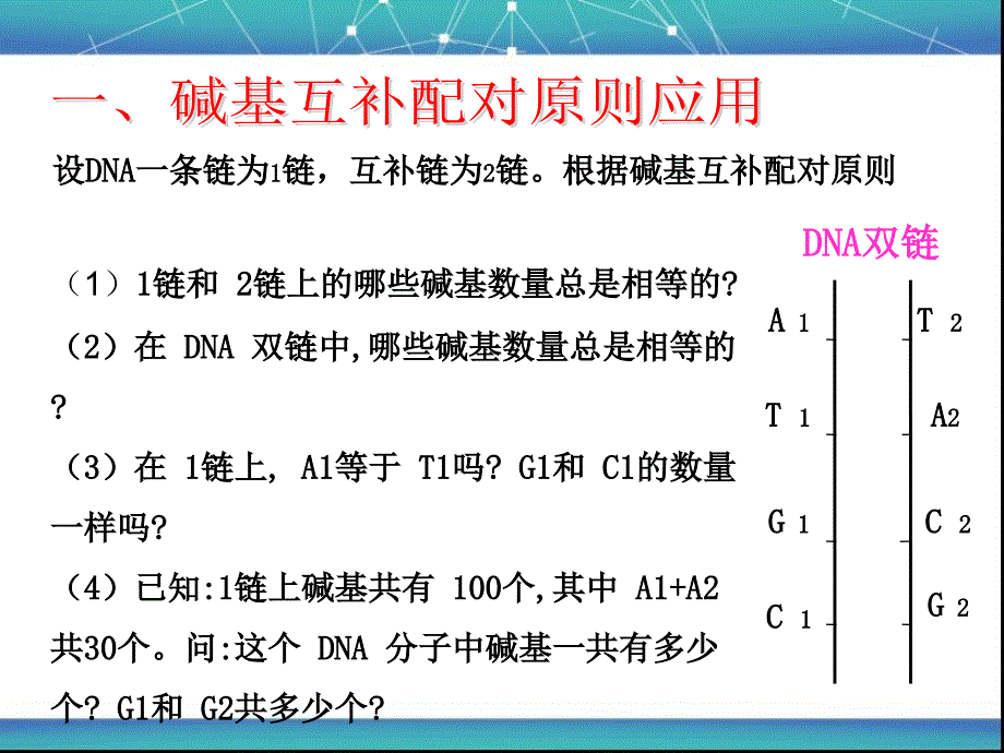 DNA分子中的相关计算PPT课件_第4页