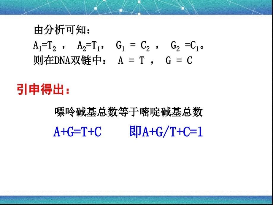 DNA分子中的相关计算PPT课件_第5页